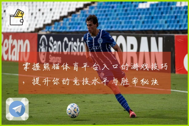 掌握熊猫体育平台入口的游戏技巧,提升你的竞技水平与胜率秘诀