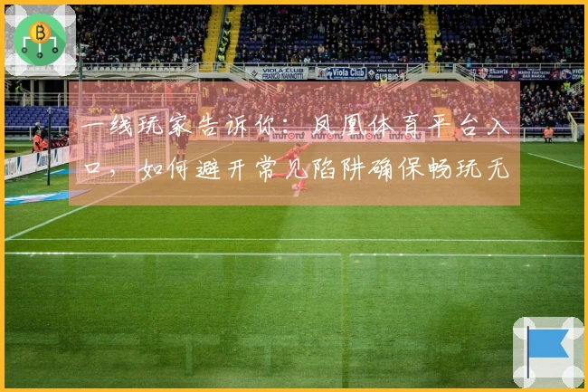 一线玩家告诉你：凤凰体育平台入口，如何避开常见陷阱确保畅玩无忧