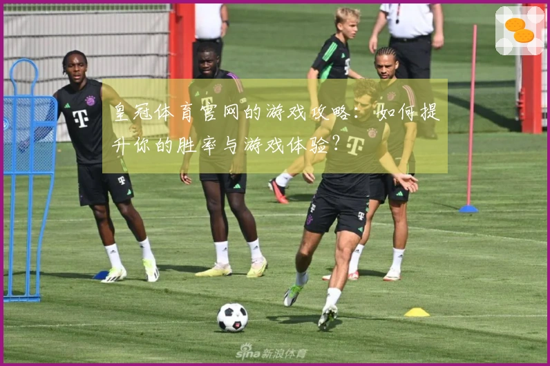 皇冠体育官网的游戏攻略：如何提升你的胜率与游戏体验？