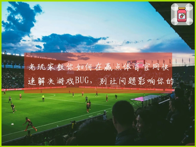 老玩家教你如何在赢点体育官网快速解决游戏BUG，别让问题影响你的体验！