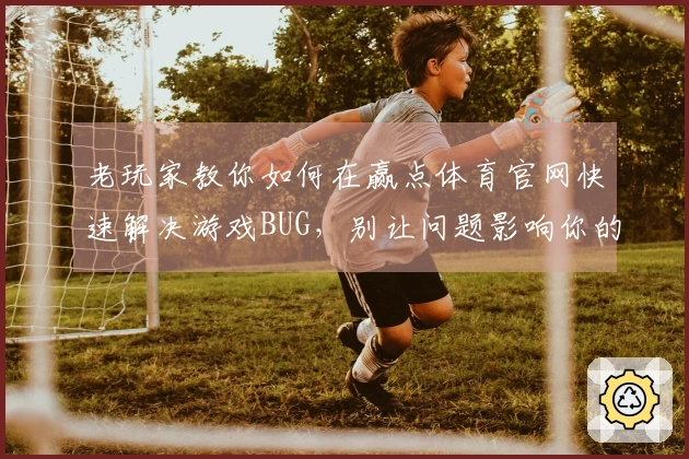 老玩家教你如何在赢点体育官网快速解决游戏BUG，别让问题影响你的体验！